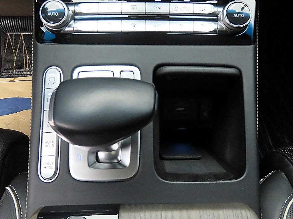 Genesis G90 - Vista 10