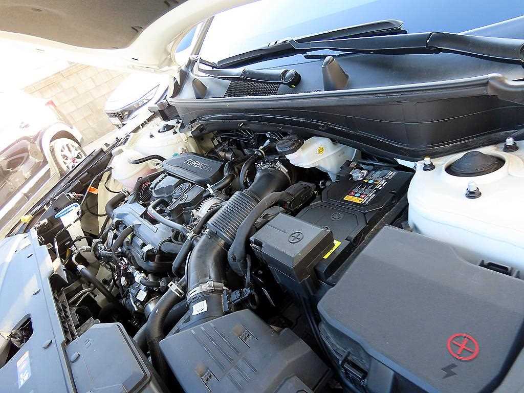 KIA Sportage 2025 Blanco - Importación desde Corea - HF Imports Iquique - Foto 19