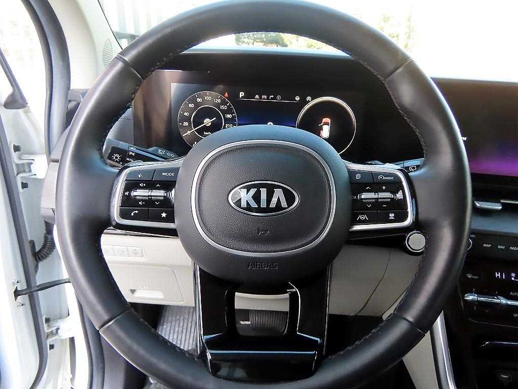 KIA Carnival - Vista 9