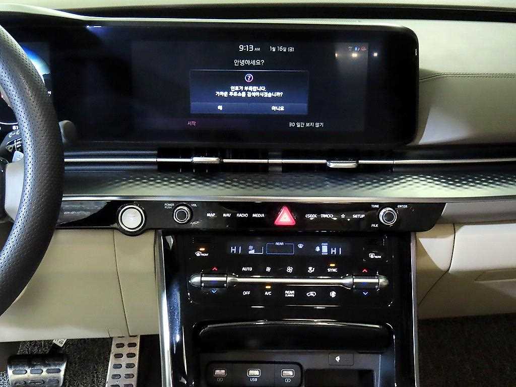 KIA Carnival - Vista 12