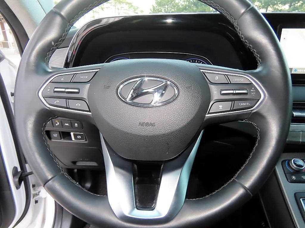 HYUNDAI Palisade - Vista 8