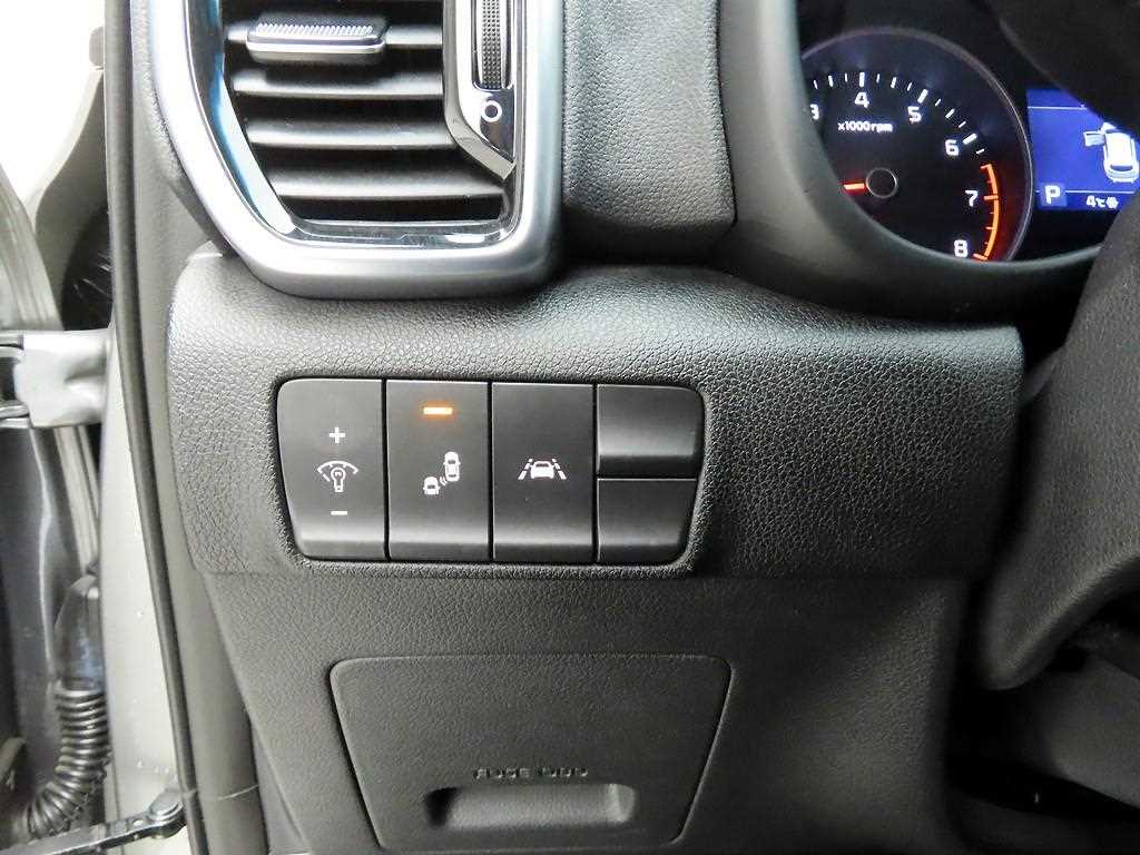 KIA Sportage - Vista 12