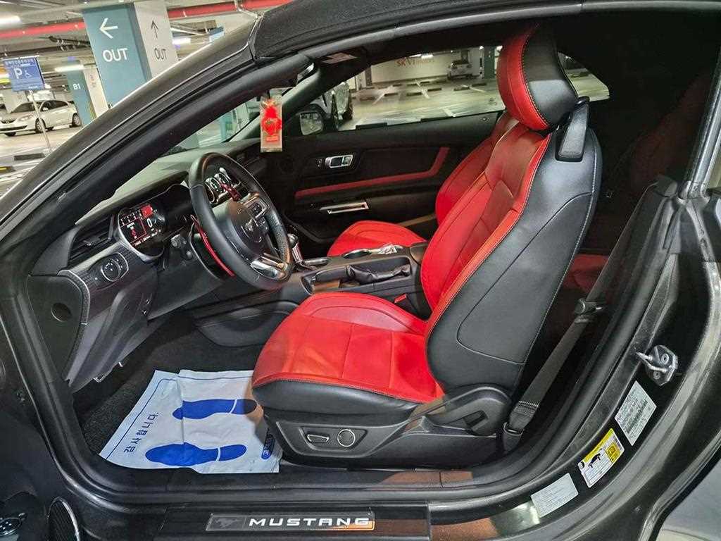 Ford Mustang - Vista 11