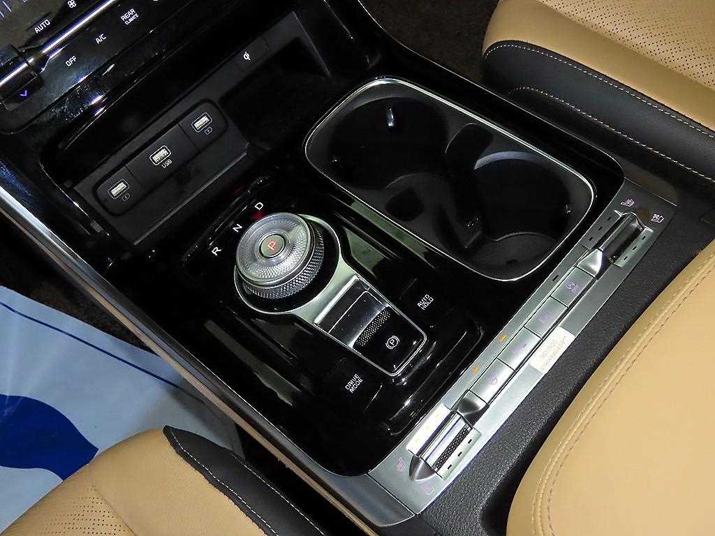 KIA Carnival - Vista 12