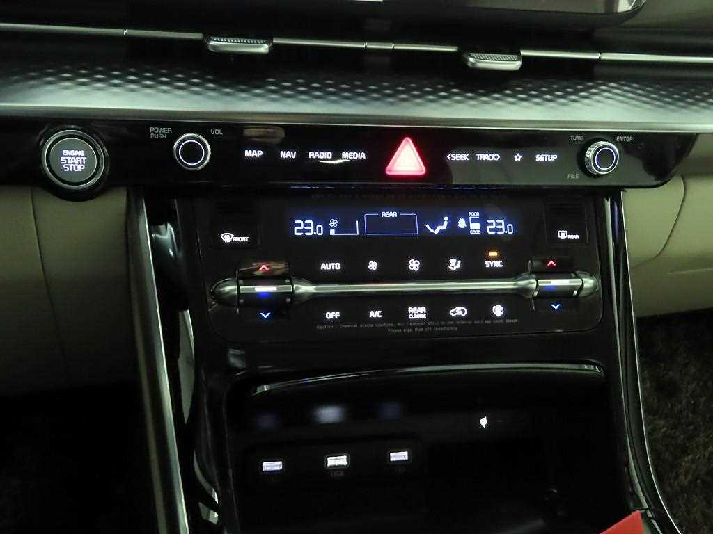 KIA Carnival - Vista 9