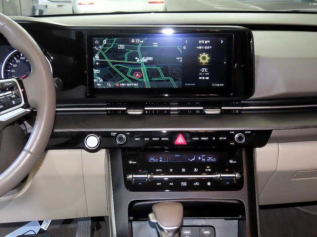 KIA Carnival - Vista 11