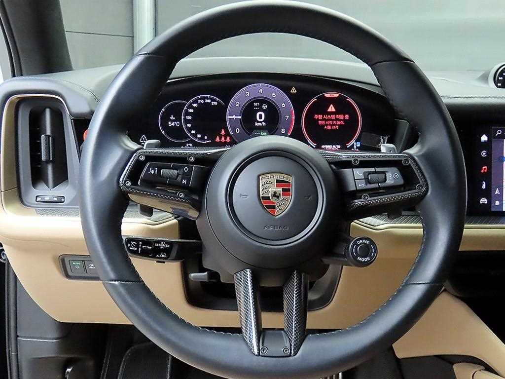 Porsche Cayenne - Vista 9