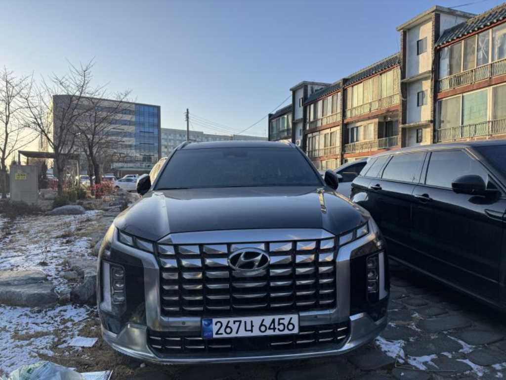 HYUNDAI Palisade - Vista 2