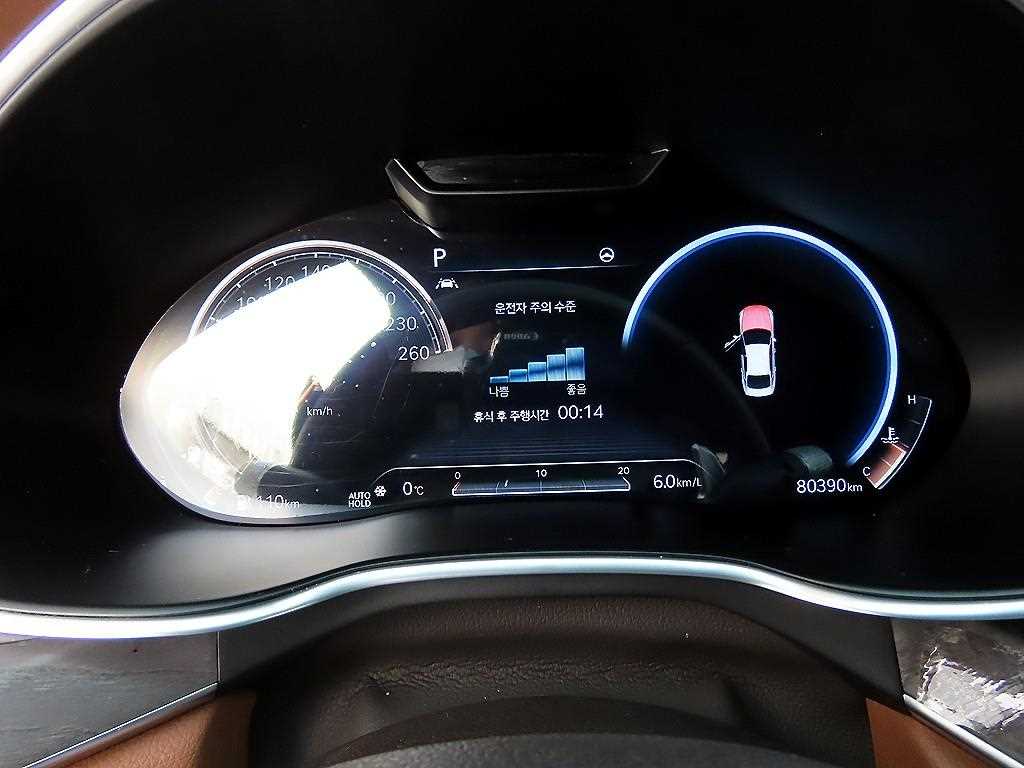 Genesis G80 - Vista 9