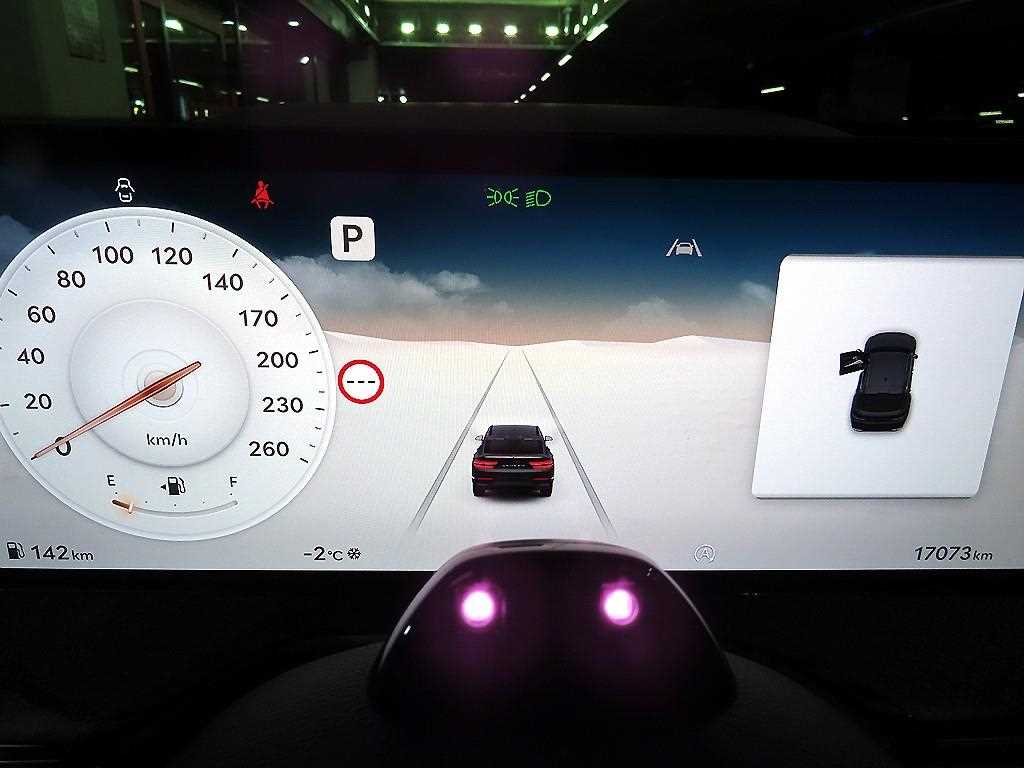 Genesis GV80 - Vista 9