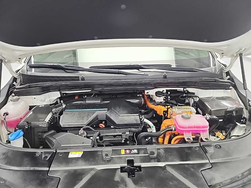 KIA Carnival - Vista 5