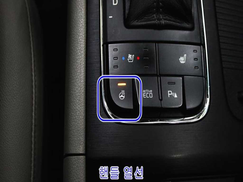 KIA Carnival - Vista 10