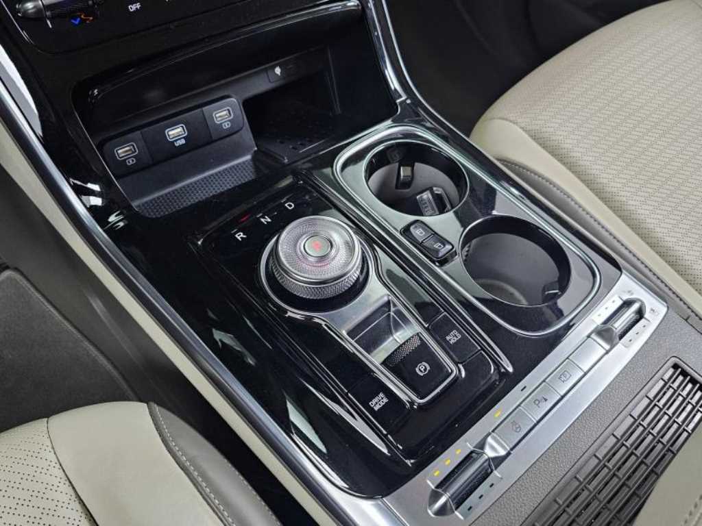 KIA Carnival - Vista 9