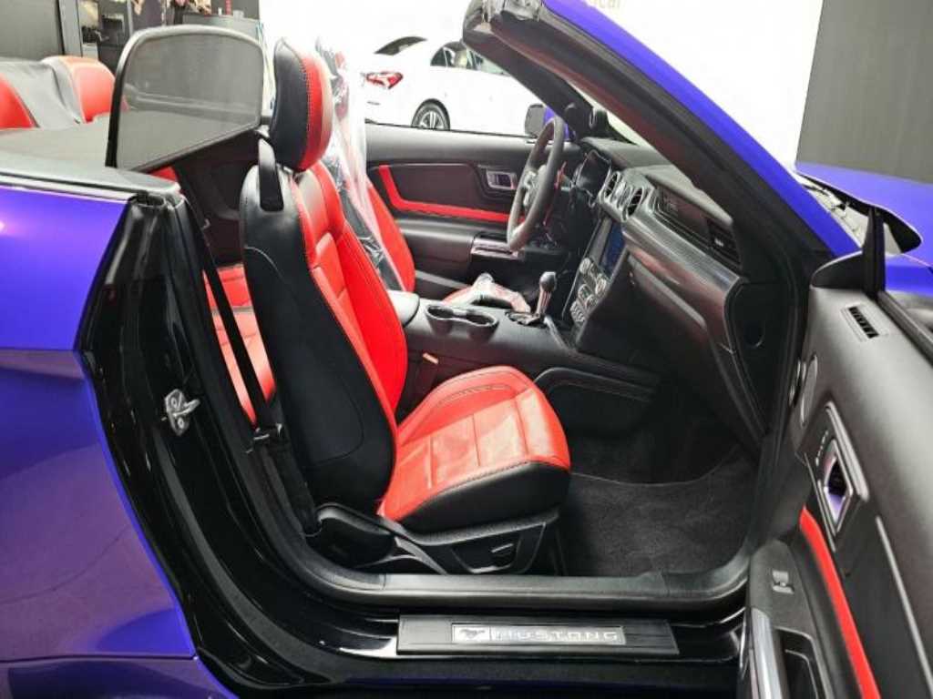 Ford Mustang - Vista 11