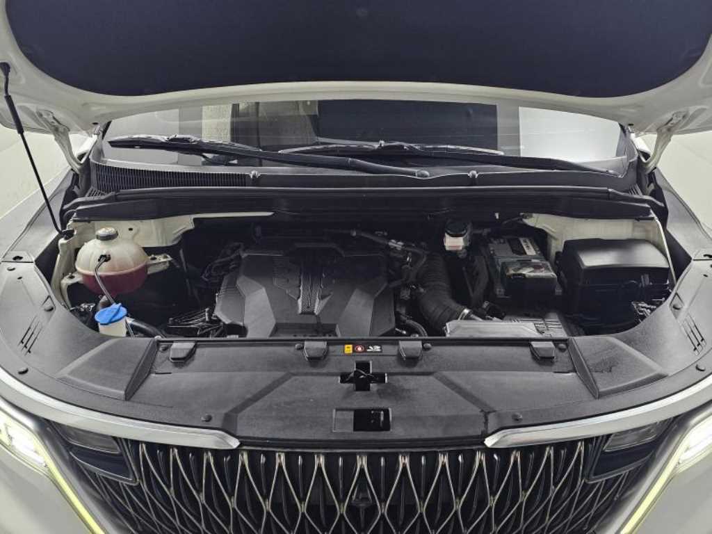 KIA Carnival - Vista 6