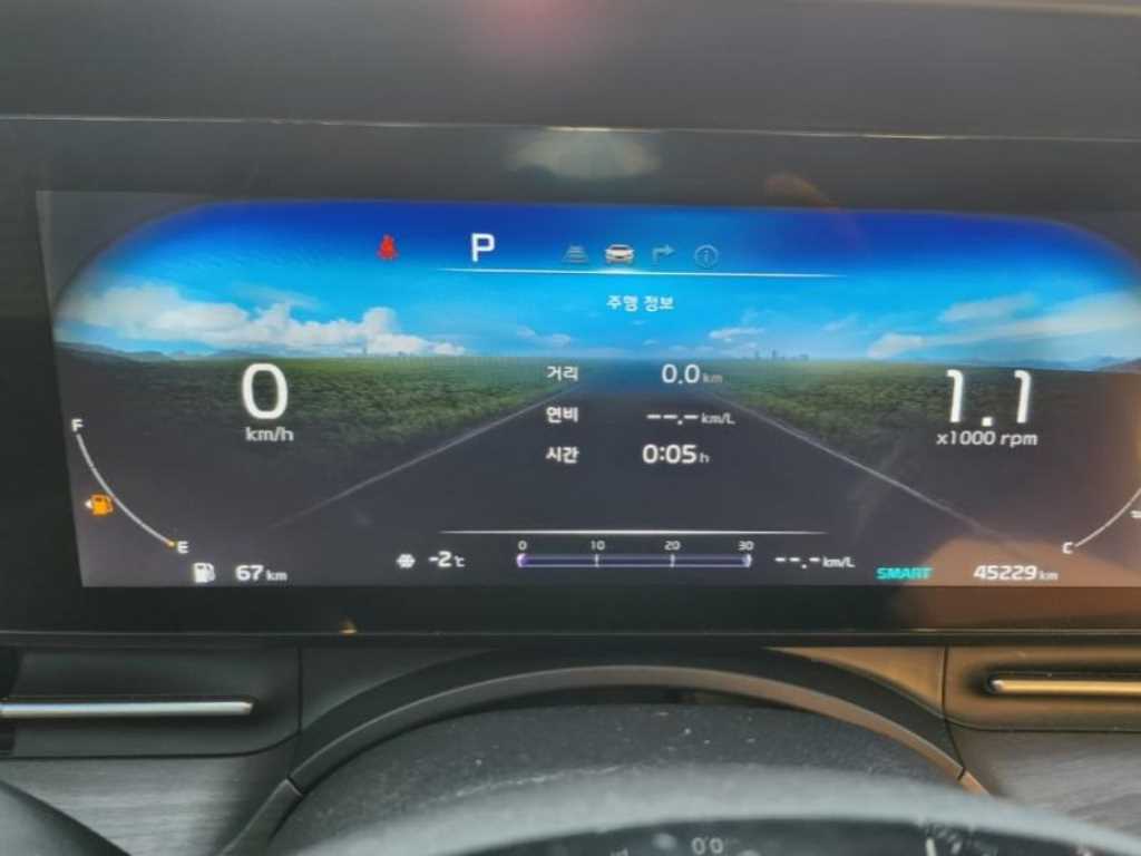 KIA Carnival - Vista 9