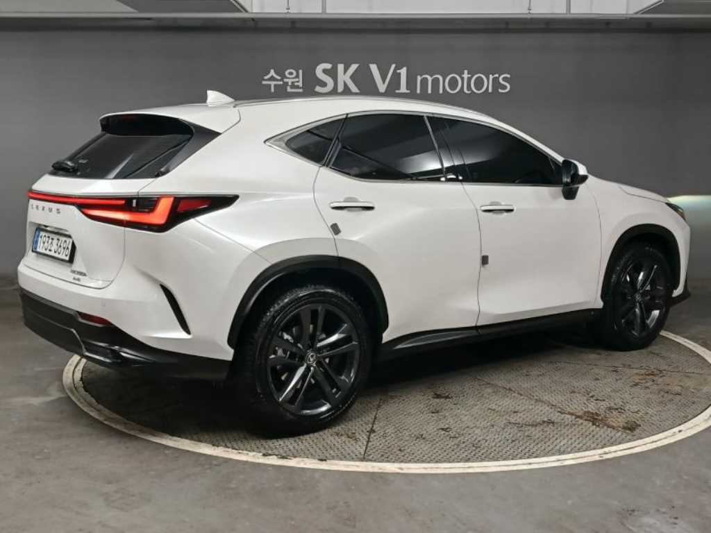 Lexus NX - Vista 4