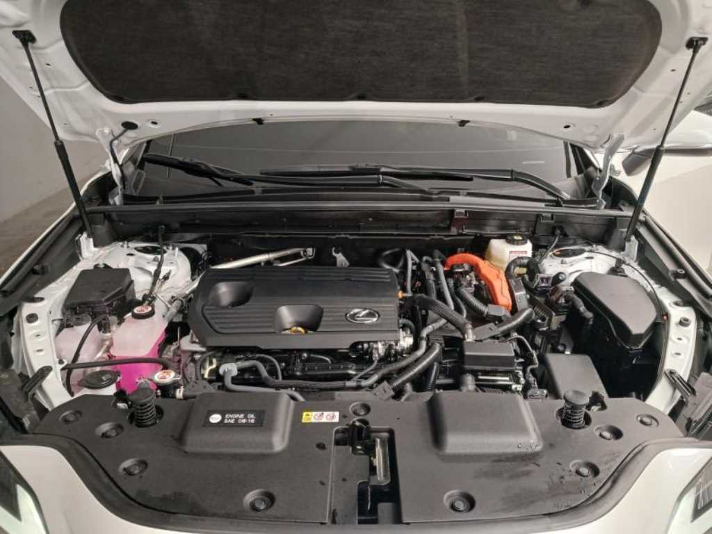 Lexus NX 2025 Blanco - Importación desde Corea - HF Imports Iquique - Foto 19