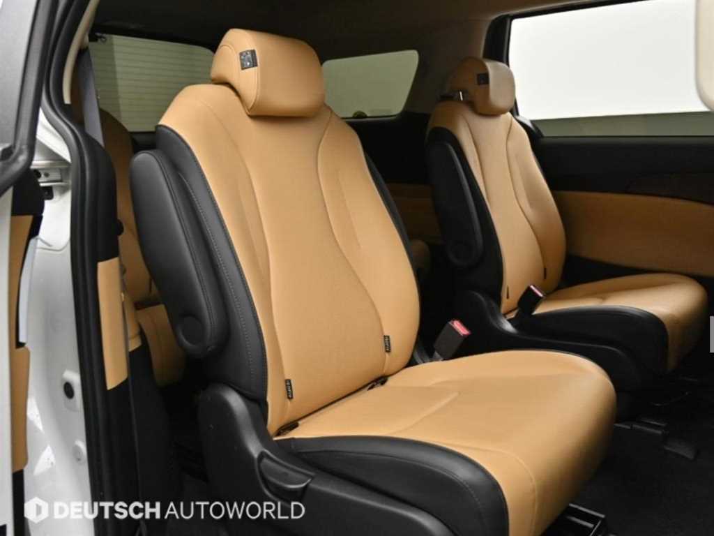 KIA Carnival - Vista 12