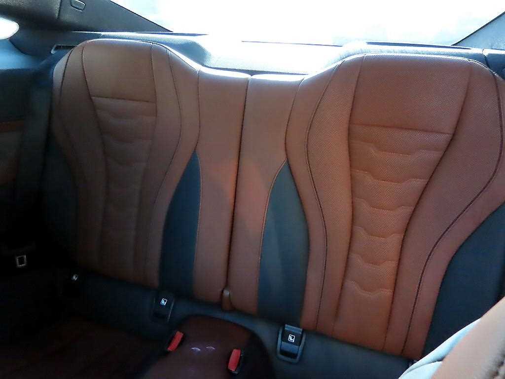 BMW 8 Series - Vista 6