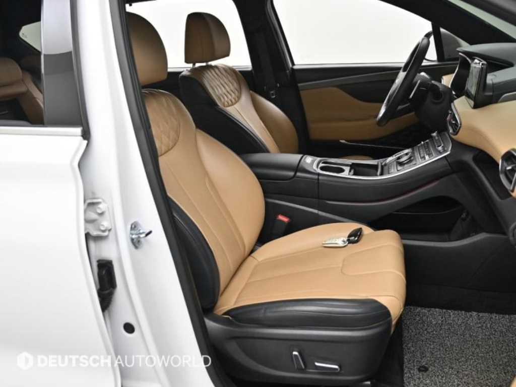 HYUNDAI Santa Fe - Vista 10