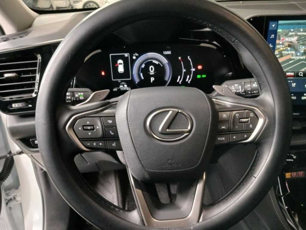 Lexus NX - Vista 11