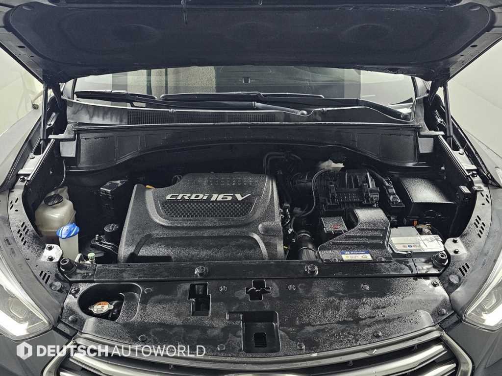 HYUNDAI Maxcruz - Vista 6