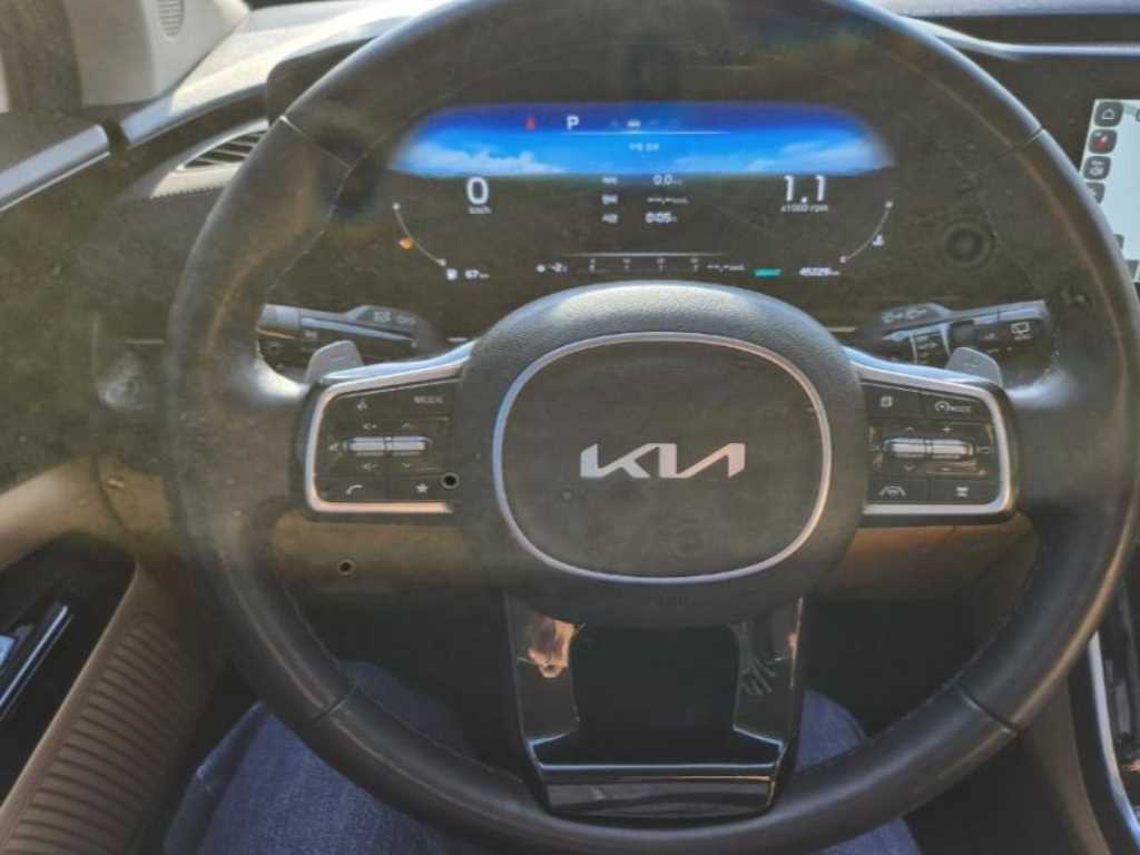 KIA Carnival - Vista 10