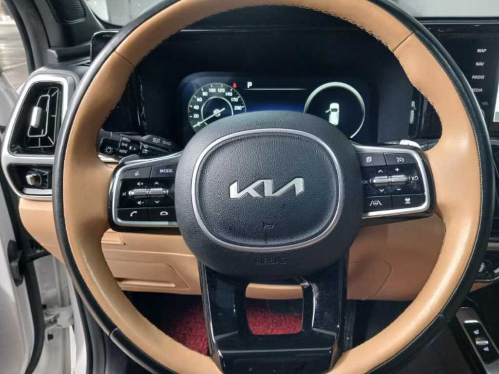 KIA Sorento - Vista 12