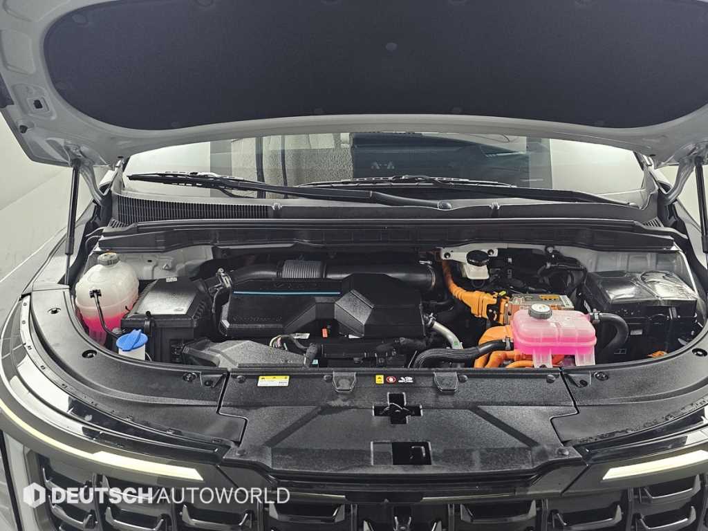 KIA Carnival - Vista 6