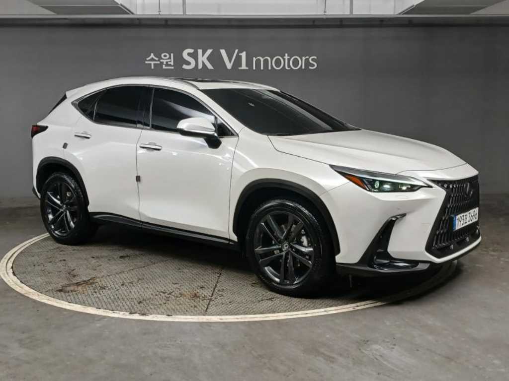 Lexus NX - Vista 5