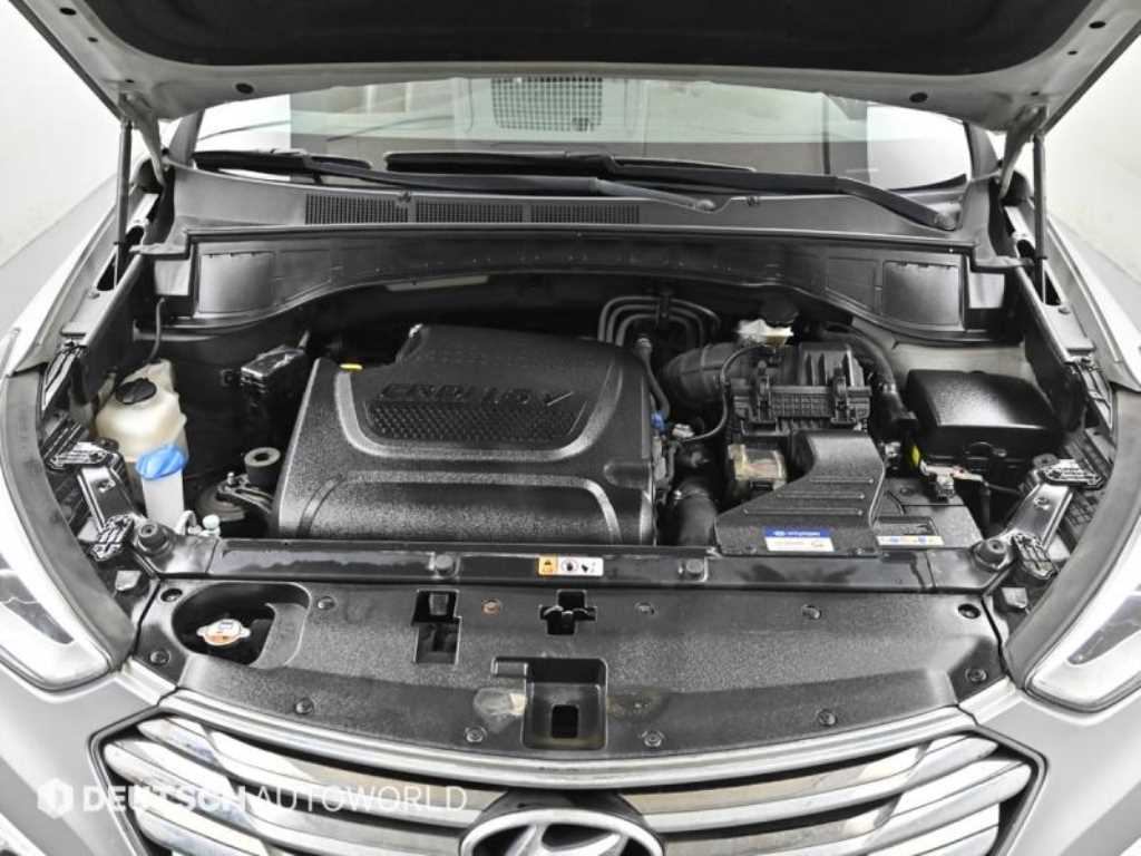 HYUNDAI Maxcruz - Vista 6