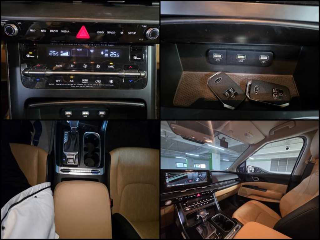 KIA Carnival - Vista 12