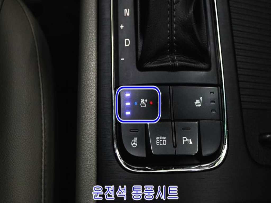 KIA Carnival - Vista 9