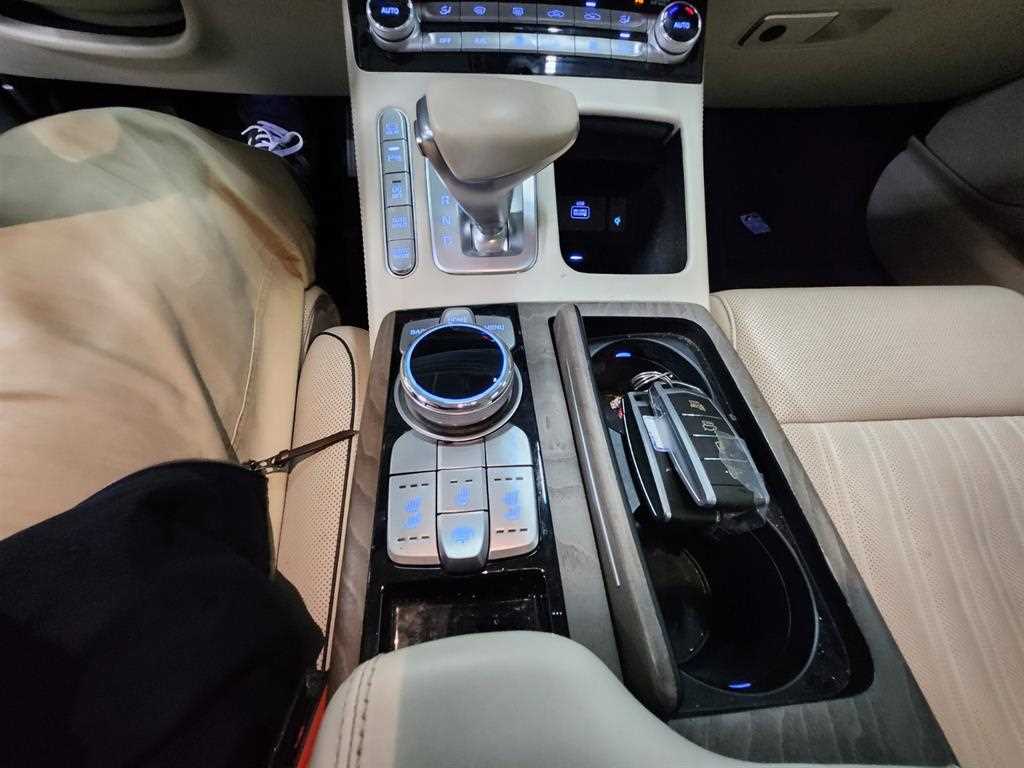 Genesis G90 - Vista 9