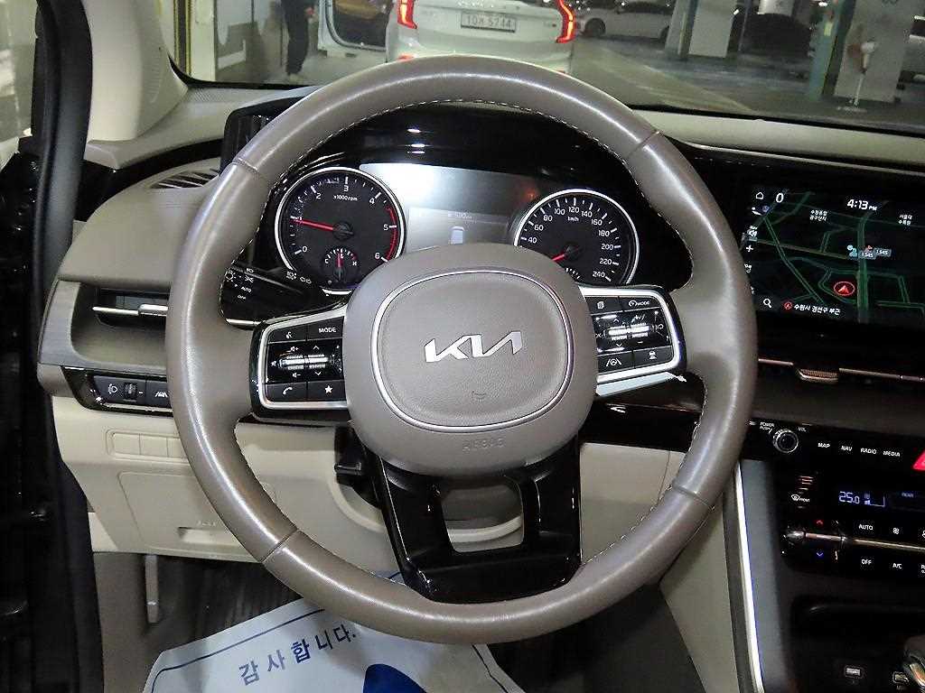 KIA Carnival - Vista 8