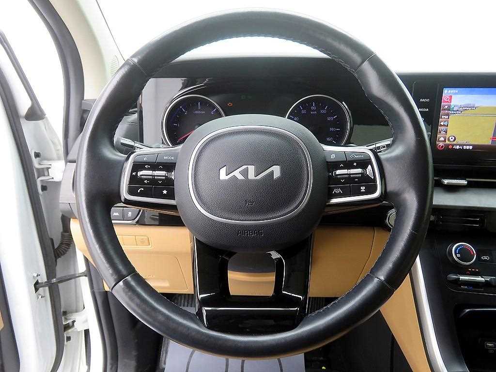 KIA Carnival - Vista 12