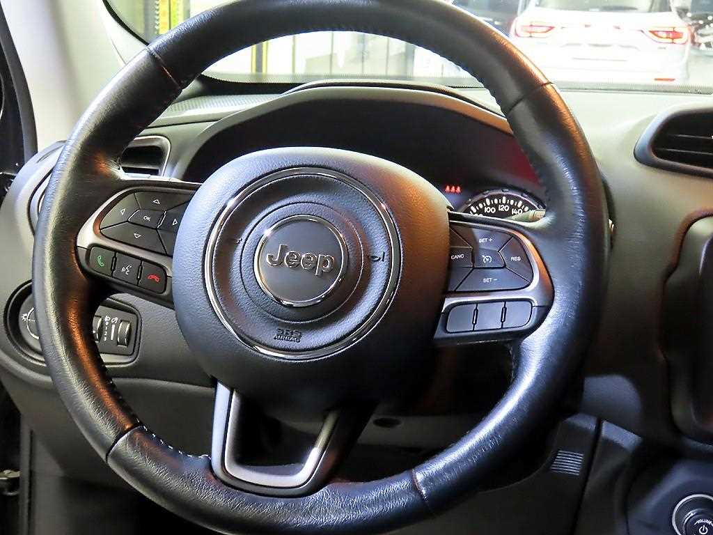 Jeep Renegade - Vista 8