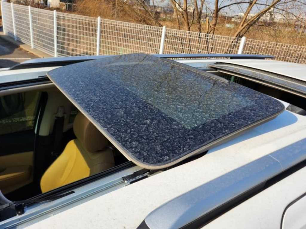 KIA Carnival - Vista 7