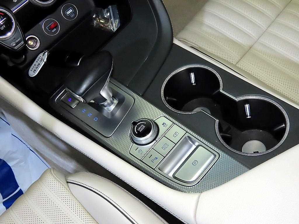 Genesis G70 - Vista 12