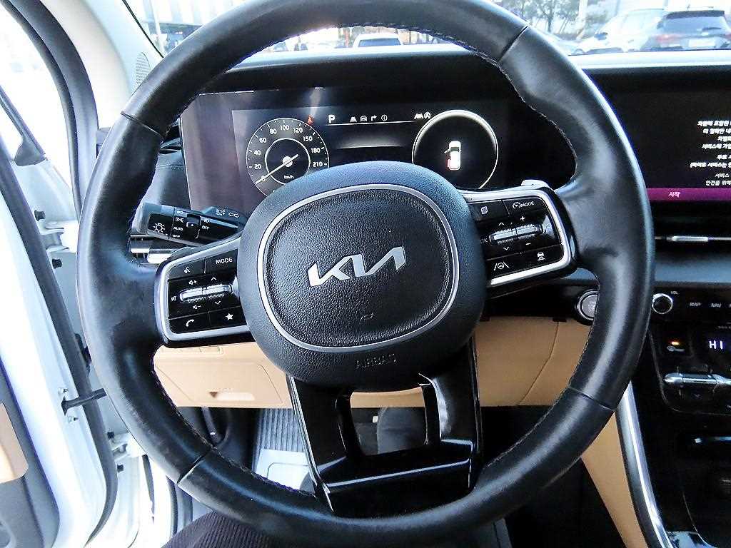 KIA Carnival - Vista 9