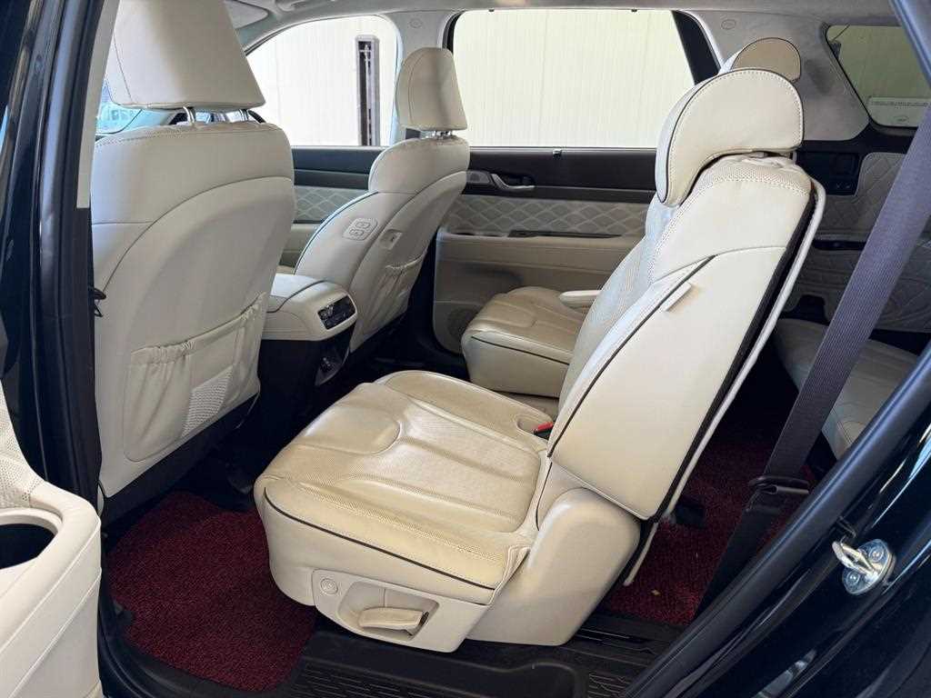 HYUNDAI Palisade - Vista 4