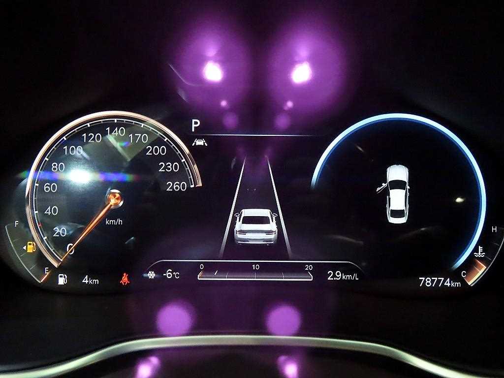 Genesis G80 - Vista 9