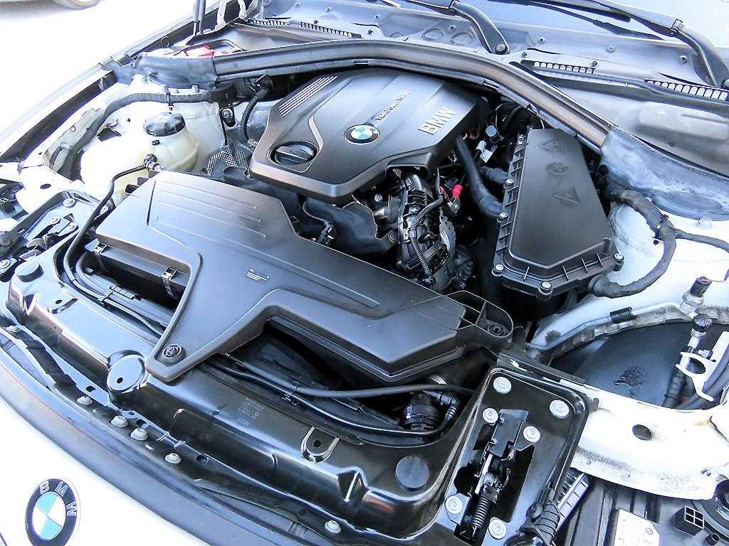 BMW 3 series 2017 Blanco - Importación desde Corea - HF Imports Iquique - Foto 19