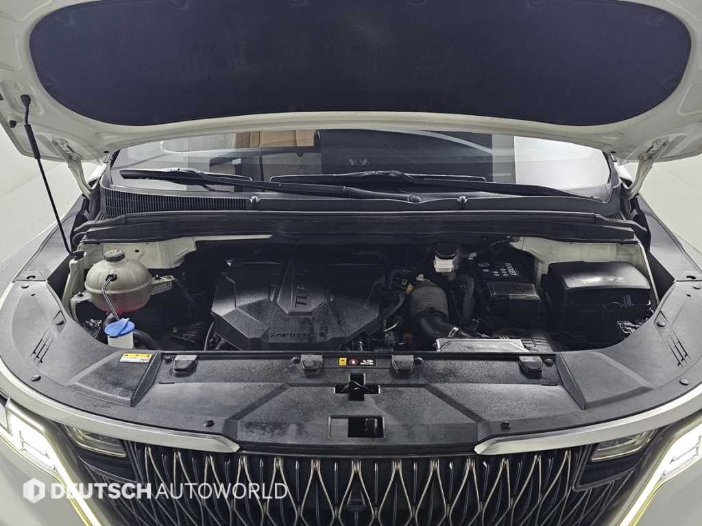 KIA Carnival - Vista 6