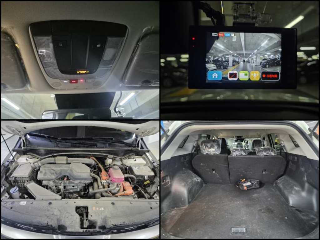 KIA Sportage - Vista 12