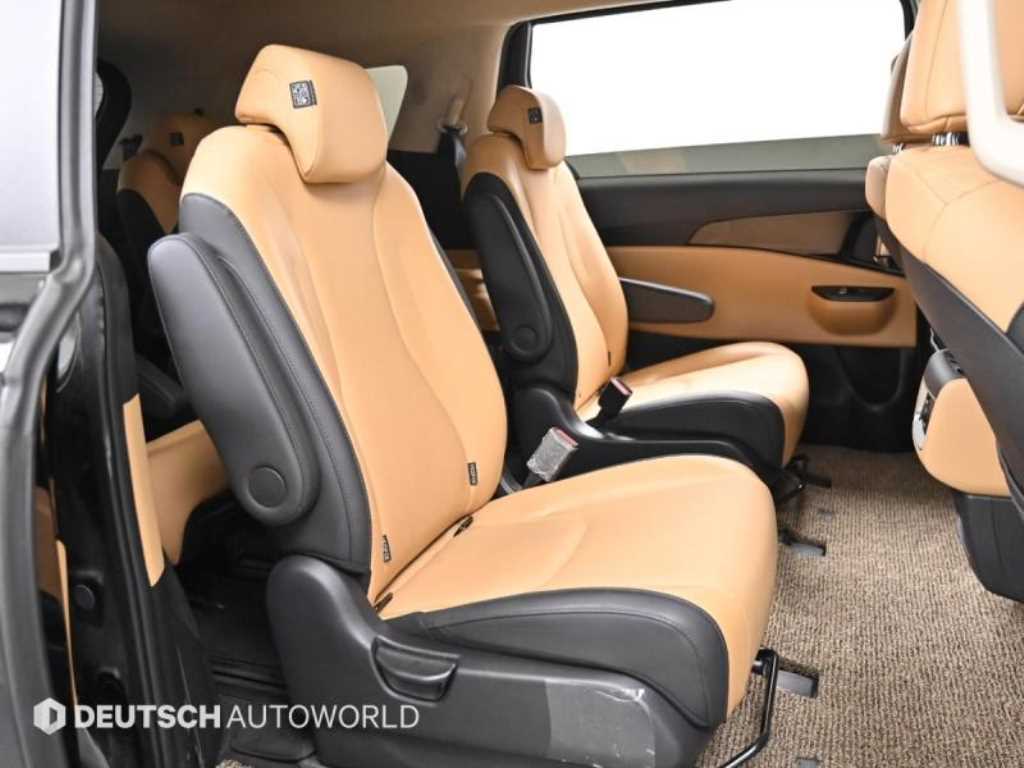 KIA Carnival - Vista 12