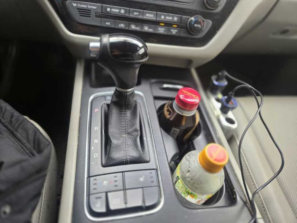 KIA Carnival - Vista 12