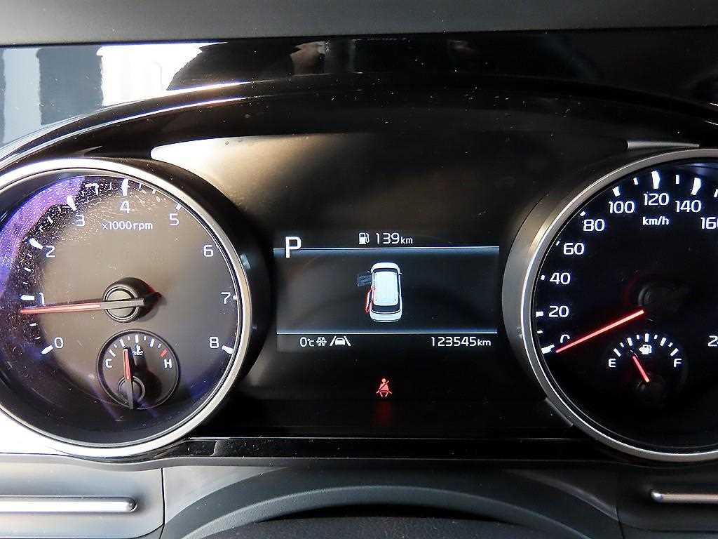 KIA Carnival - Vista 10