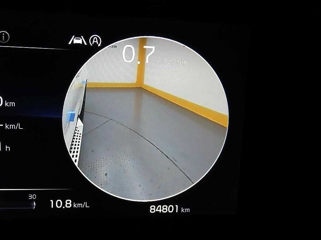 KIA Carnival - Vista 8